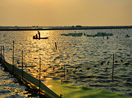 阳澄湖大闸蟹养殖基地